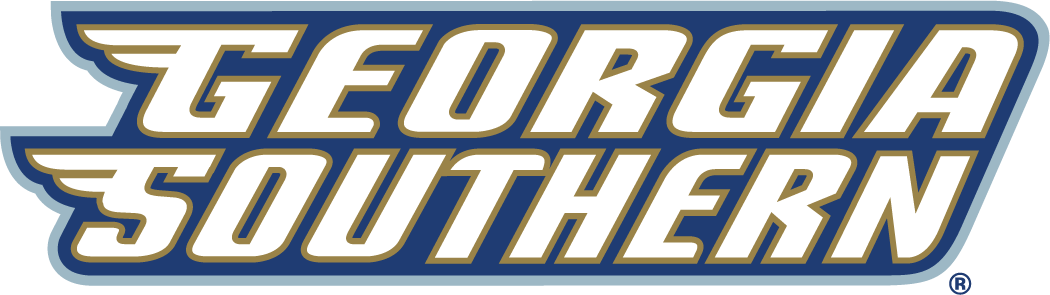 Georgia Southern Eagles 2004-Pres Wordmark Logo v3 iron on transfers for T-shirts